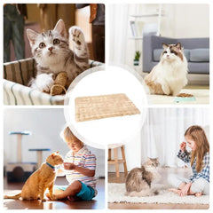 Cat Mat Bed Plush Pet Couch Sleep Pad Winter Beds Pet Cat Floor Pad Soft Sleep Pad for Dog Kitten Soft Sleeping Dog Travel Mat