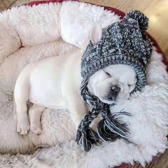 Winter Warm Dog Hats Windproof Knitting French Bulldog Hat For Dogs Chihuahua Hat Fluffy Ball Pet Hat Puppy Accessories