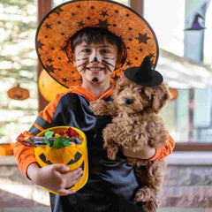 Cute Accessories Mini Witch Hats for Pet Halloween Baby Clothing DIY Crafts Miniature Decorative Black Supplies Girl