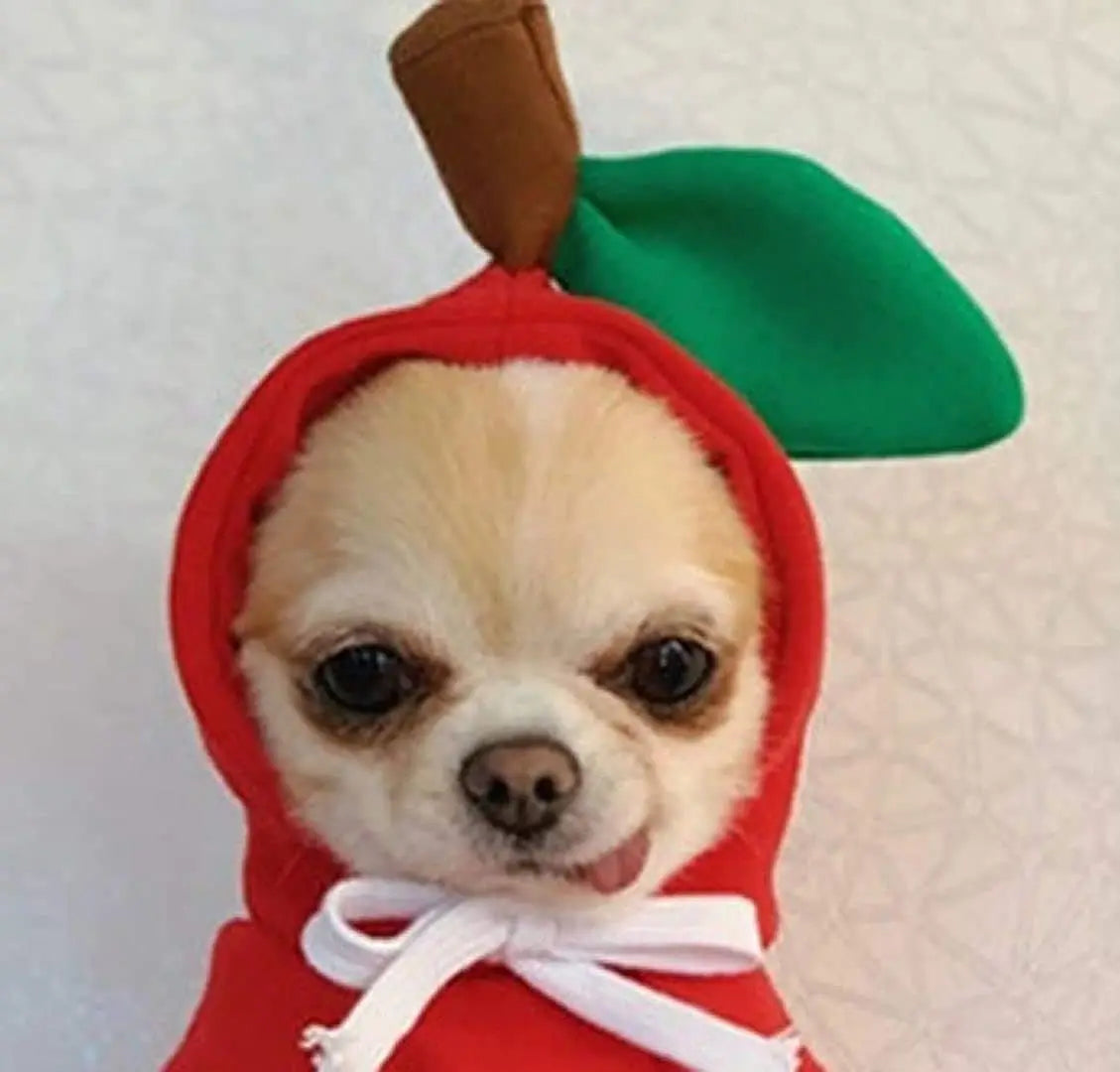 Cute Dog Hoodie Pet Fruit Clothes Funny Dog Cat Coats with Hat Halloween Cosplay Costume Dogs Hooded Sweatshirt for Puppies Cat