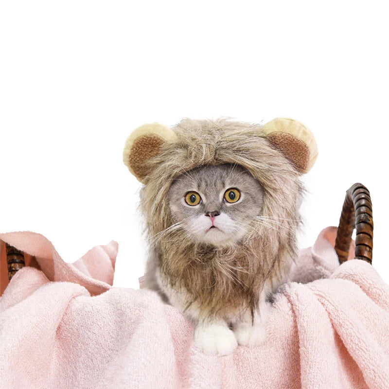 Funny Pets Clothes Cap Cute Cat Wig Lion Mane Costume Cosplay Kitten Dog Hat with Ears Fancy Party Supplies