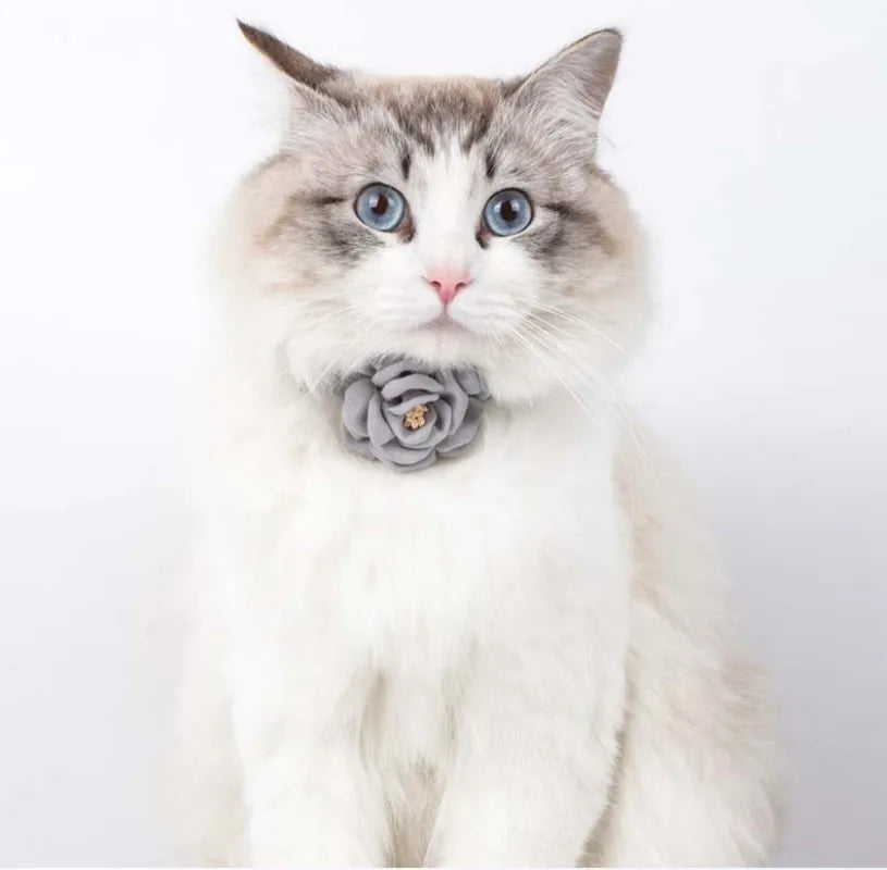 Cat Collar Adjustable Bow Tie Cat Flower Collar Safety Button Tie Necklace Puppy and Cat Gift Pet Accessories Puppy Collar