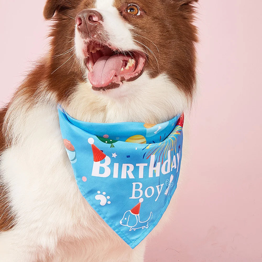 Dog Birthday Bandana Hat Set Dog Birthday Party Supplies Dog Bandana Boy Girl Puppy Birthday Hat Scarf for Small Medium Dog Pet