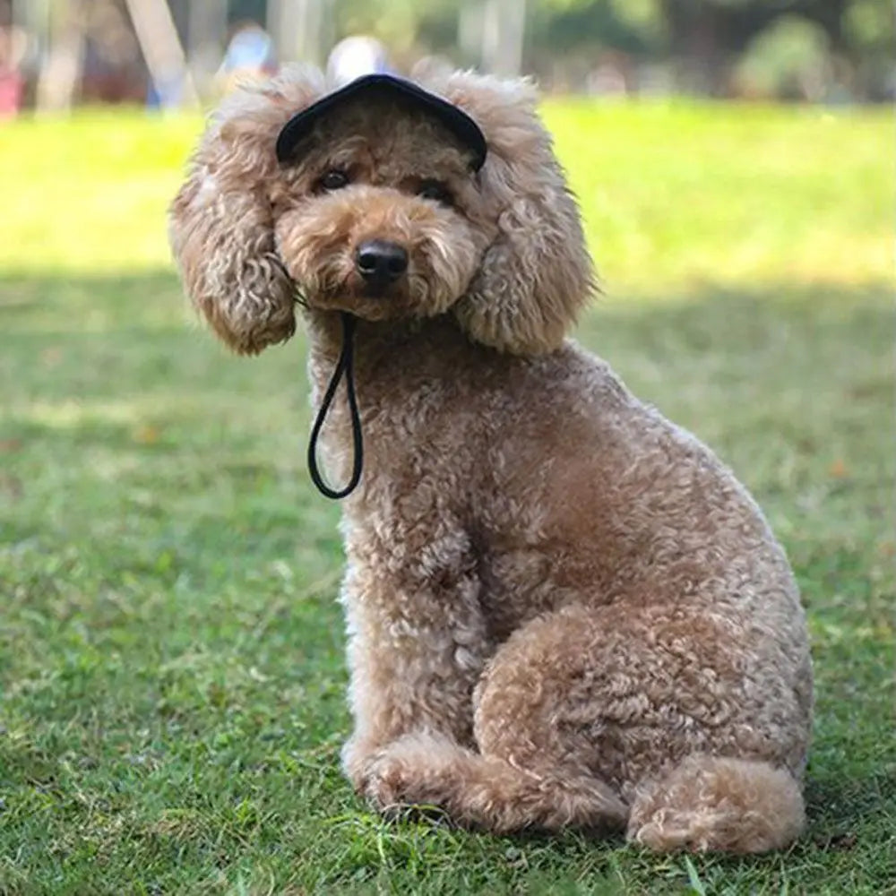 Pet Baseball Hat Outdoor Cat Dog Adjustable Peaked Cap Visor Hat Summer Pet Travel Sports Sun Cap With Ear Holes