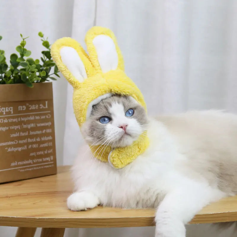 Cat And Rabbit Headgear, Dog Teddy Bear Transformed Into Headgear Cat And Rabbit Ears, Internet Famous Pet Hat