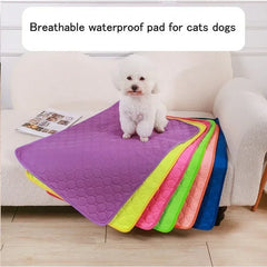 Reusable Dog Pee Pad Blanket Absorbent Diaper Washable Puppy Training Pad Pet Bed Urine Mat for Pet Car Seat Cover Pet Supplies