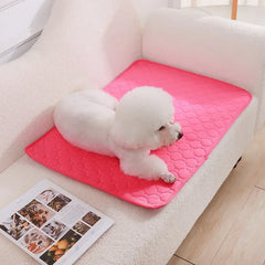 Reusable Dog Pee Pad Blanket Absorbent Diaper Washable Puppy Training Pad Pet Bed Urine Mat for Pet Car Seat Cover Pet Supplies