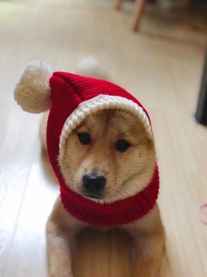 Pet Hat Winter Warm Headgear Pet Christmas Hat Funny Costume Pet Accessories for Small Medium Large Dogs Dress Up Dog Supplies