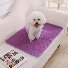 Reusable Dog Pee Pad Blanket Absorbent Diaper Washable Puppy Training Pad Pet Bed Urine Mat for Pet Car Seat Cover Pet Supplies