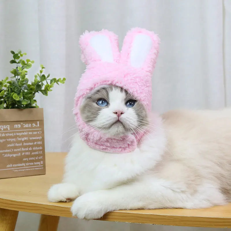 Cat And Rabbit Headgear, Dog Teddy Bear Transformed Into Headgear Cat And Rabbit Ears, Internet Famous Pet Hat