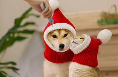 Pet Hat Winter Warm Headgear Pet Christmas Hat Funny Costume Pet Accessories for Small Medium Large Dogs Dress Up Dog Supplies