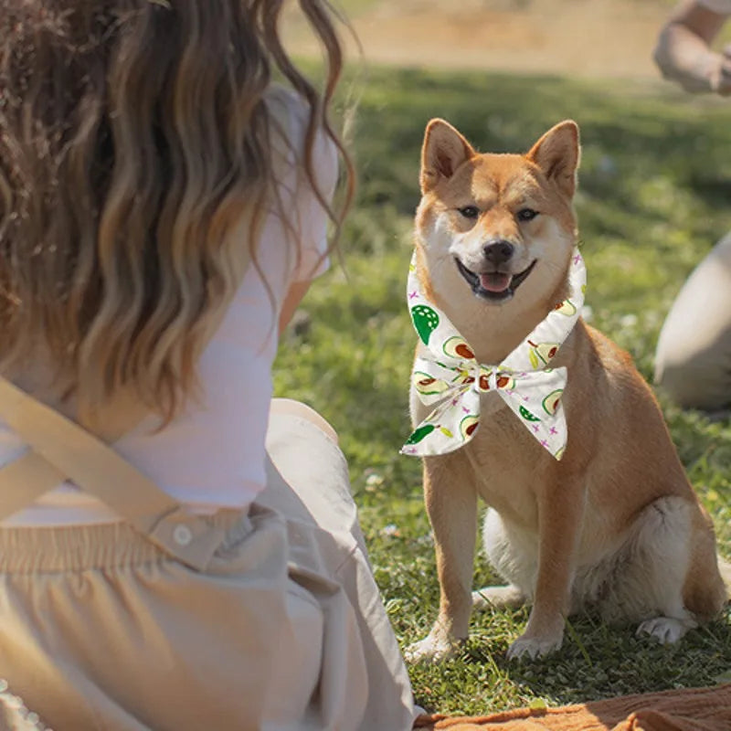 Cute Print Summer Dog Cooling Collar Pet Dog Ice Scarf Pet Cool Bandana Adjustable Pet Outdoor Prevent Heatstrok Dog Accessories