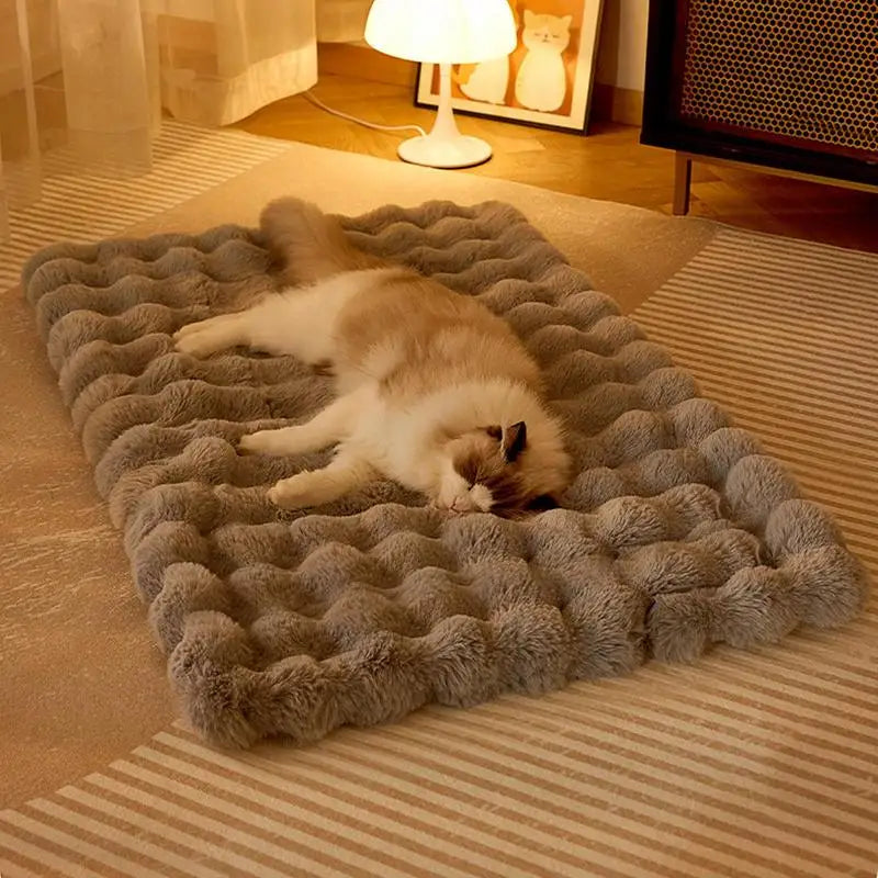 Cat Mat Bed Plush Pet Couch Sleep Pad Winter Beds Pet Cat Floor Pad Soft Sleep Pad for Dog Kitten Soft Sleeping Dog Travel Mat