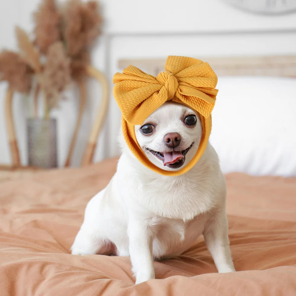 Funny Polyester hat headwear pet headwear Bulldog Bow dog accessories