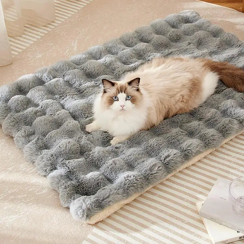 Cat Mat Bed Plush Pet Couch Sleep Pad Winter Beds Pet Cat Floor Pad Soft Sleep Pad for Dog Kitten Soft Sleeping Dog Travel Mat