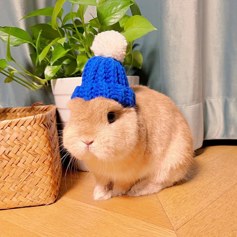 Rabbit Knitted Hat for Pet Rabbit Decorative Bunny Scarf Collar Small Animal Clothes Hat Guinea Pig Stuff Rabbit Pet Accessories