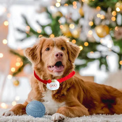 Winter Dog Bandana Crochet Cat Christmas Bandana Portable Dog Scarf Comfortable Pet Bandana For Dogs Cats Rabbits