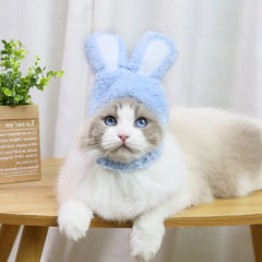 Cat And Rabbit Headgear, Dog Teddy Bear Transformed Into Headgear Cat And Rabbit Ears, Internet Famous Pet Hat