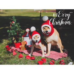 Pet Hat Winter Warm Headgear Pet Christmas Hat Funny Costume Pet Accessories for Small Medium Large Dogs Dress Up Dog Supplies