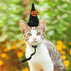 3 Pcs Witch Hat Headband Decor Cosplay Pet Lovely Cat Halloween Dog Adjustable Festival Sheng Xia Adorable