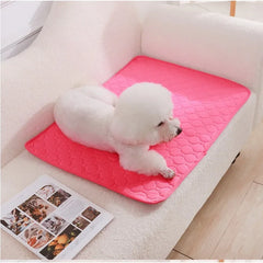 Reusable Dog Pee Pad Blanket Absorbent Diaper Washable Puppy Training Pad Pet Bed Urine Mat for Pet Car Seat Cover Pet Supplies