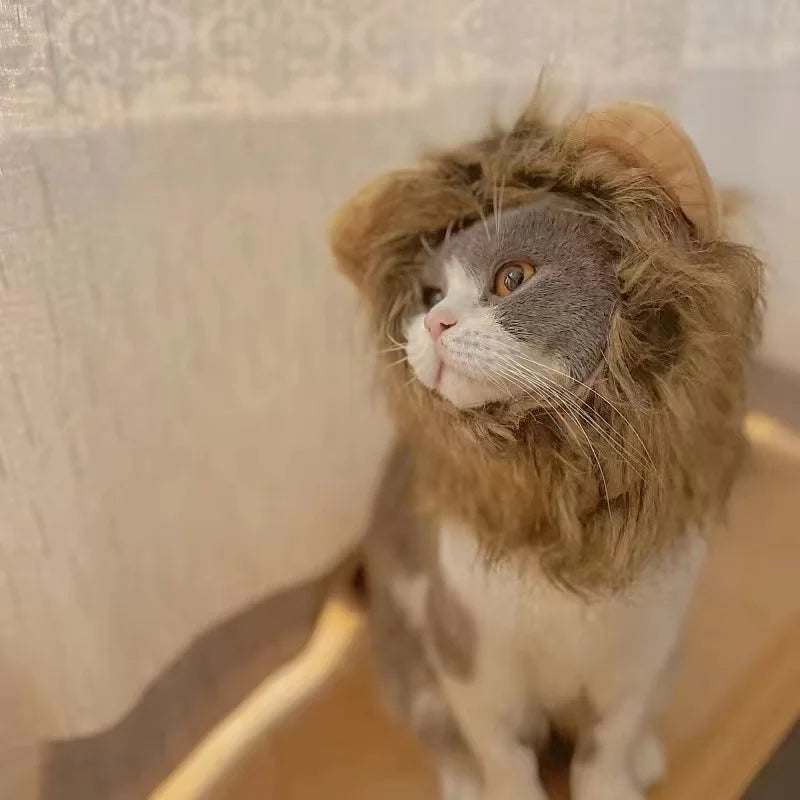 Funny Pets Clothes Cap Cute Cat Wig Lion Mane Costume Cosplay Kitten Dog Hat with Ears Fancy Party Supplies