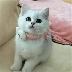 Pet Collar Cat Knitting Collar Small Dog Kitten Short Pink Woolen Thread Cat Bib Dog Pet Bib Cat Accessories Pet Supplies