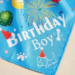 Dog Birthday Bandana Hat Set Dog Birthday Party Supplies Dog Bandana Boy Girl Puppy Birthday Hat Scarf for Small Medium Dog Pet